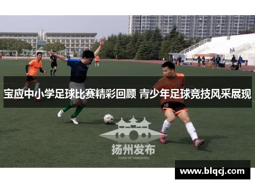 宝应中小学足球比赛精彩回顾 青少年足球竞技风采展现