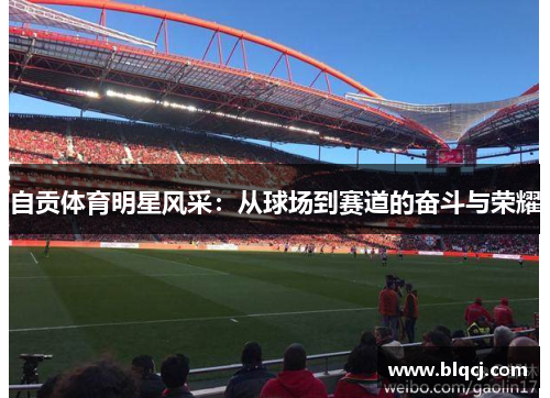 自贡体育明星风采：从球场到赛道的奋斗与荣耀